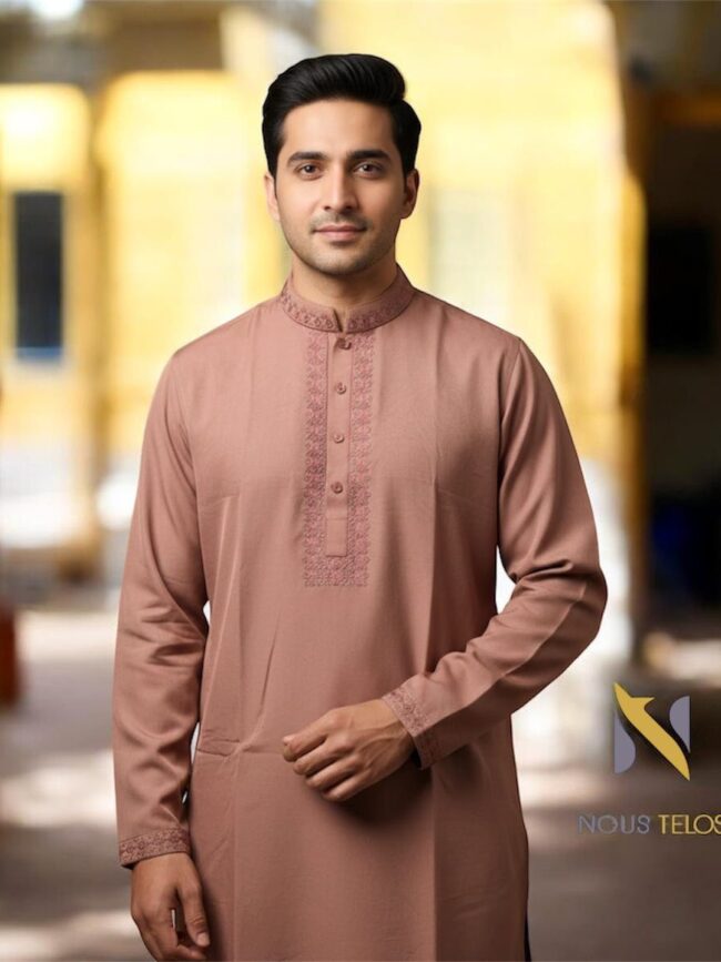 Light Brown Embroidered Cotton Panjabi 6