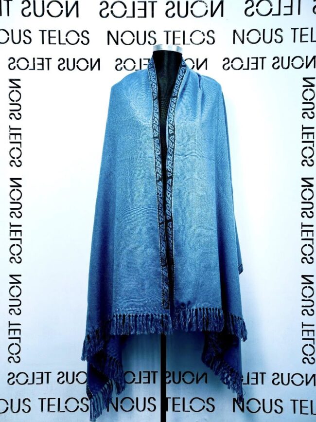 Dark Feroza Woolen Shawal 28